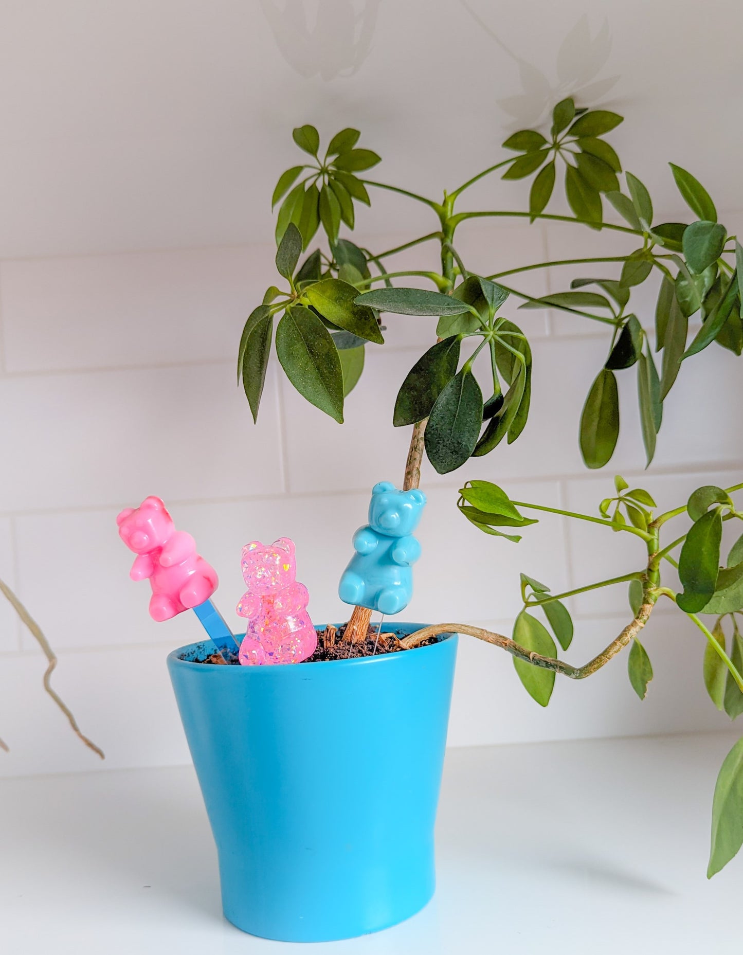 Gummy Bear Plant Friends